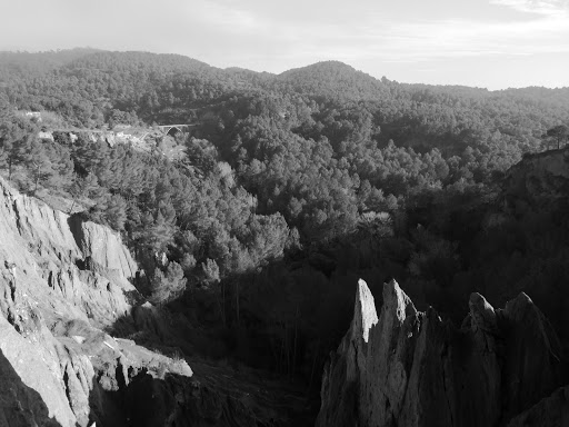 Les Ribes Blaves - Thumbnail