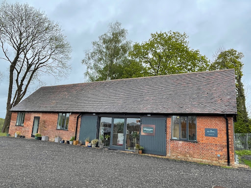 The Transformation Clinic