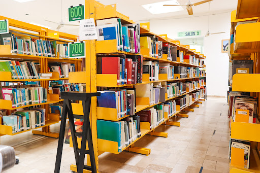 Biblioteca Los Mangos - Thumbnail
