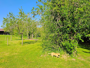 Photo n°51 de La Cuvellerie à Narcy (Chambre d'hôtes)