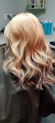 Salon '75 - Visual