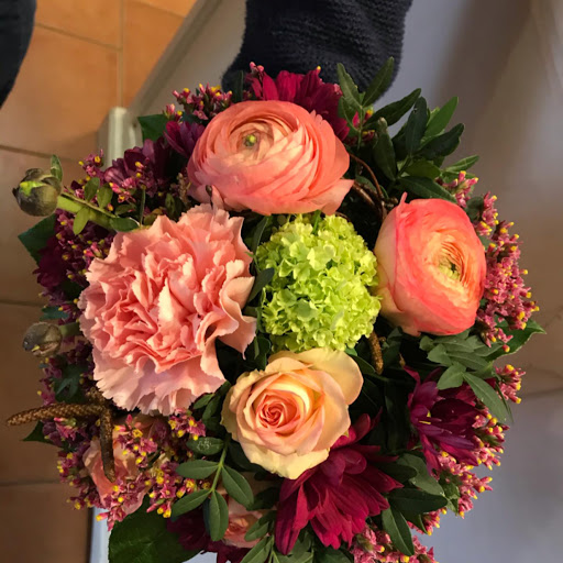 Blumenbasar - Visual
