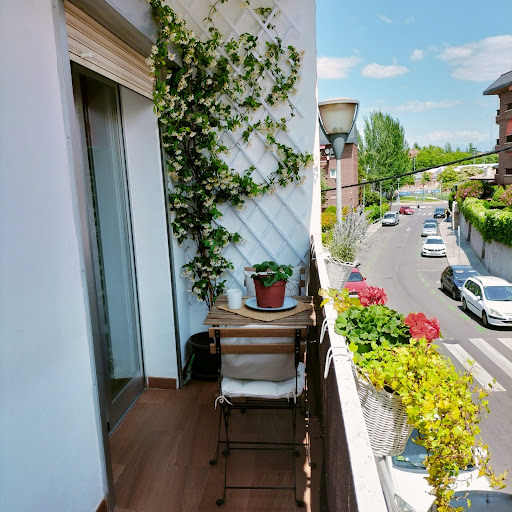Inmobiliaria Caolves - Visual