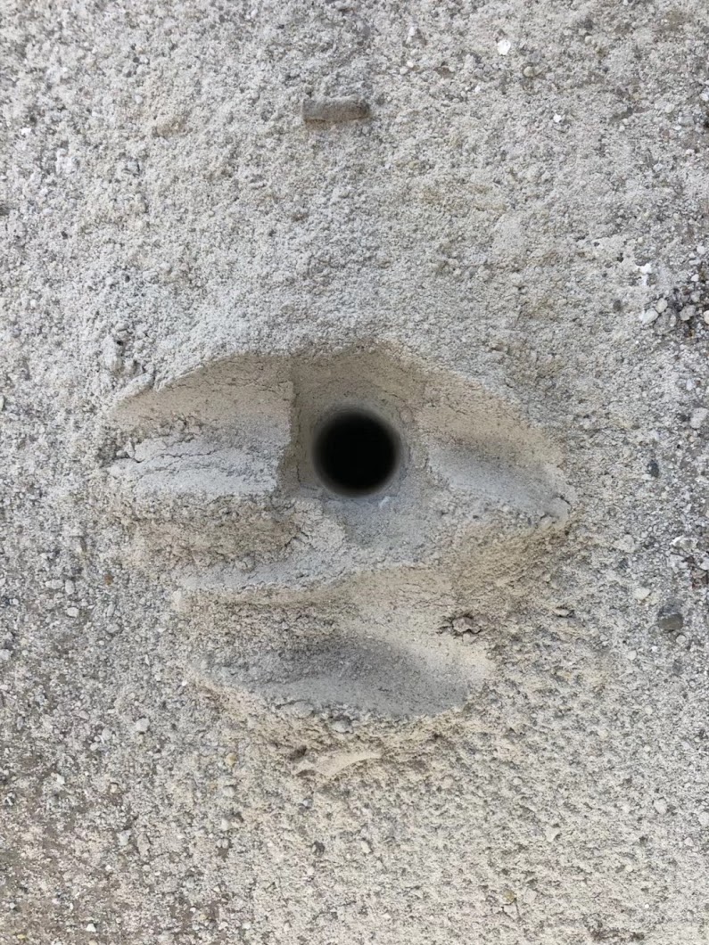 Great Wall Termite Control