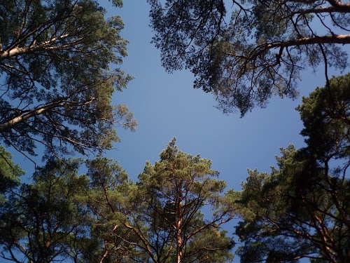 Ragakāpas dabas parks