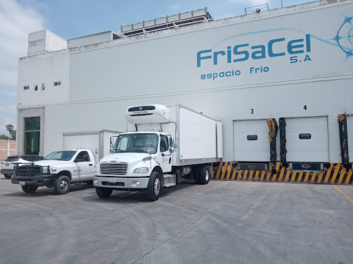 Frisacel