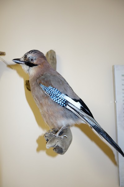 Photos of Elistvere looduskeskus