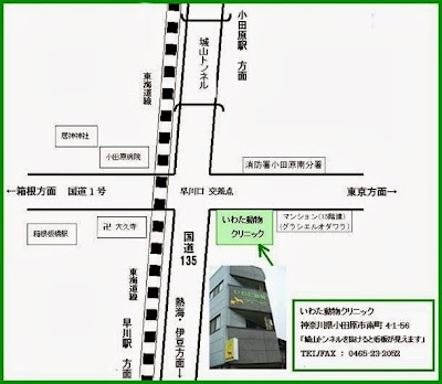 いわた動物クリニック