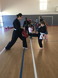 Photo n°13 de Arts martiaux Vietnamiens 