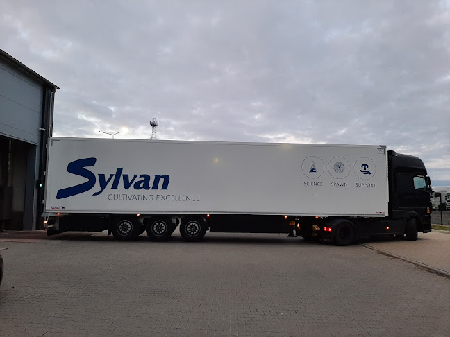 Szyldy reklamowe i drukarnia cyfrowa - Reklamtext - Agencja reklamowa