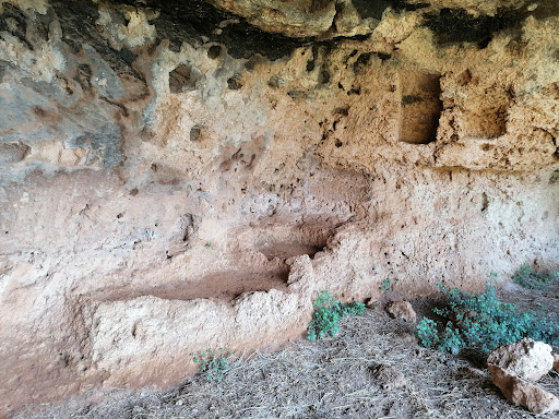 Tour e degustazione olio Evo - Masseria Pezze d'Aglio - Frantoio Ipogeo XIII Sec.