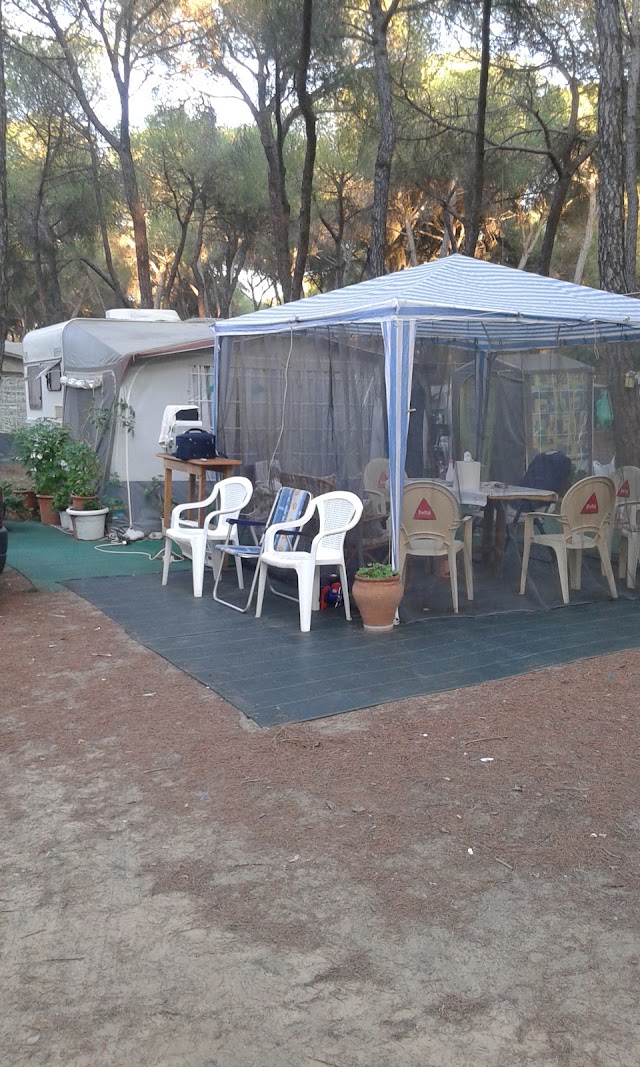 Camping Dehesa Nueva
