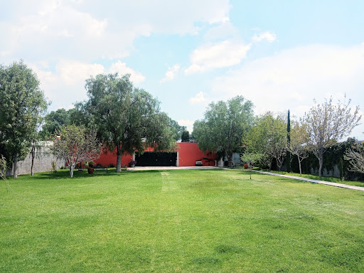 CASA GRANDE. JARDIN CAMPESTRE - Thumbnail