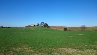 Photos of Monumento Naturale di Galeria Antica