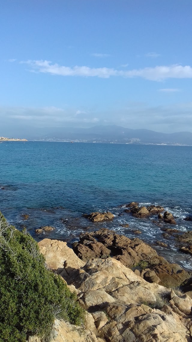 L'Altru Versu