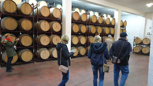 BODEGAS CASTAÑO - Thumbnail