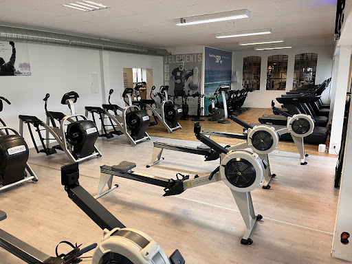 Fitness und Boxcamp Sven Amend - Thumbnail