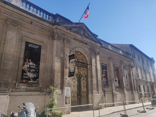 Musée Requien - Thumbnail