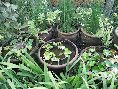 Photos of Kios Aneka Taman Restu Ibu