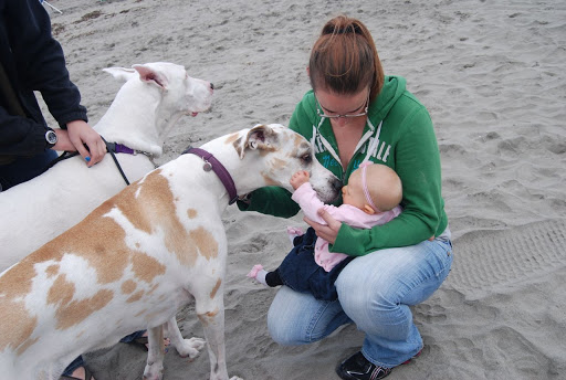 South Pacific County Humane Society - Thumbnail