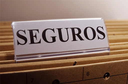 Clin Seguros