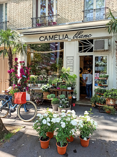 Camelia Blanc Fleuriste - Thumbnail