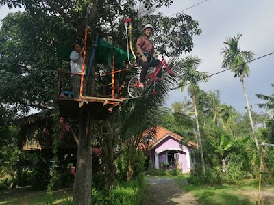 Glamping at Jed Treehouse