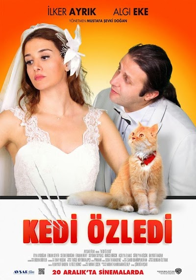 Photos of Avşar Sinema