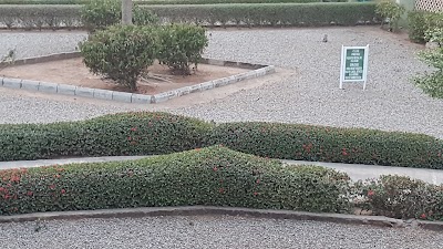 Photos of Federal Medical Center Yola