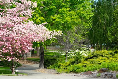 Rogue Community College - Redwood Campus