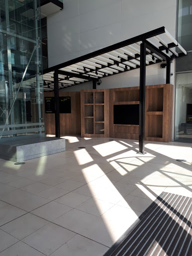Polycom - Visual