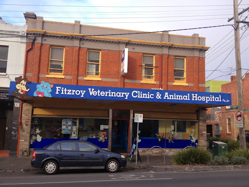 Fitzroy Vet Hospital - Thumbnail