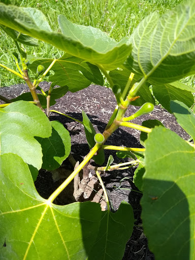 Richardson Ag & Outdoors, LLC - Thumbnail