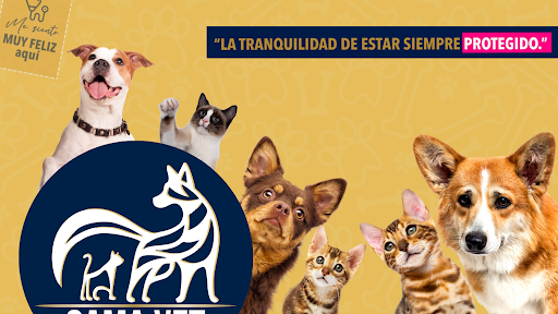 Clinica Veterinaria GAMAVET