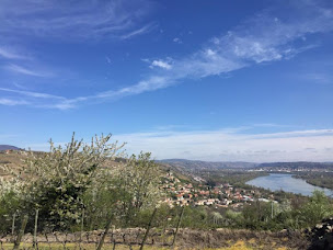 Photo n°6 de APImmobilier PELUSSIN à Pélussin (Agence de location immobilière)