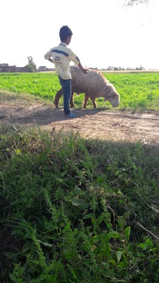 عزاء خانہ طانب فاروقی kamoke