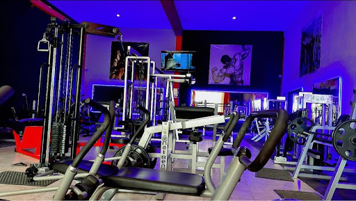 Flex Workout Gym - Visual