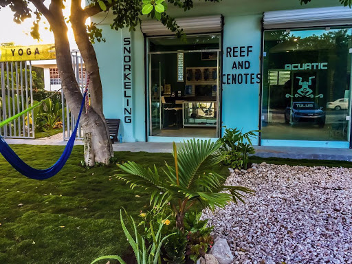 Acuatic Tulum Dive Center