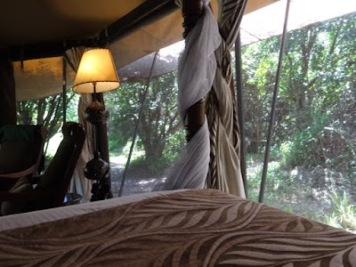 Photos of Mara Ngenche Safari Camp