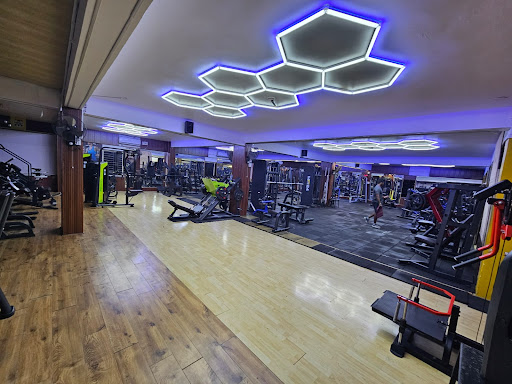 Gallery image 2
