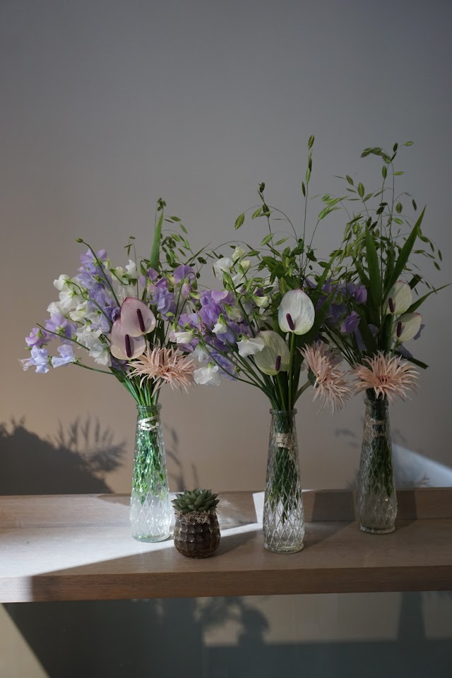Martin Fleurs