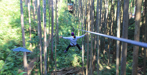 Forest Adventure Odawara Odawara Destimap Destinations On Map