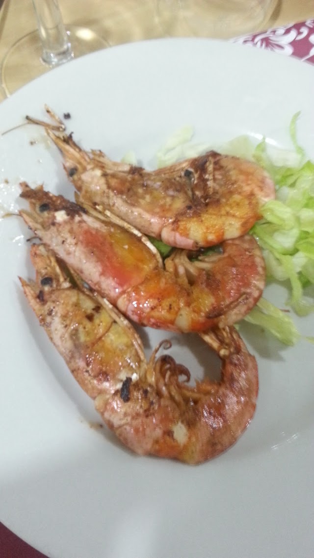 Trattoria Il Corallo