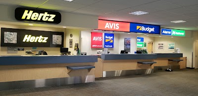 Avis Car Rental