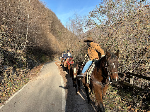 A.S.D Ranch la Pistolina Gallery - Italy