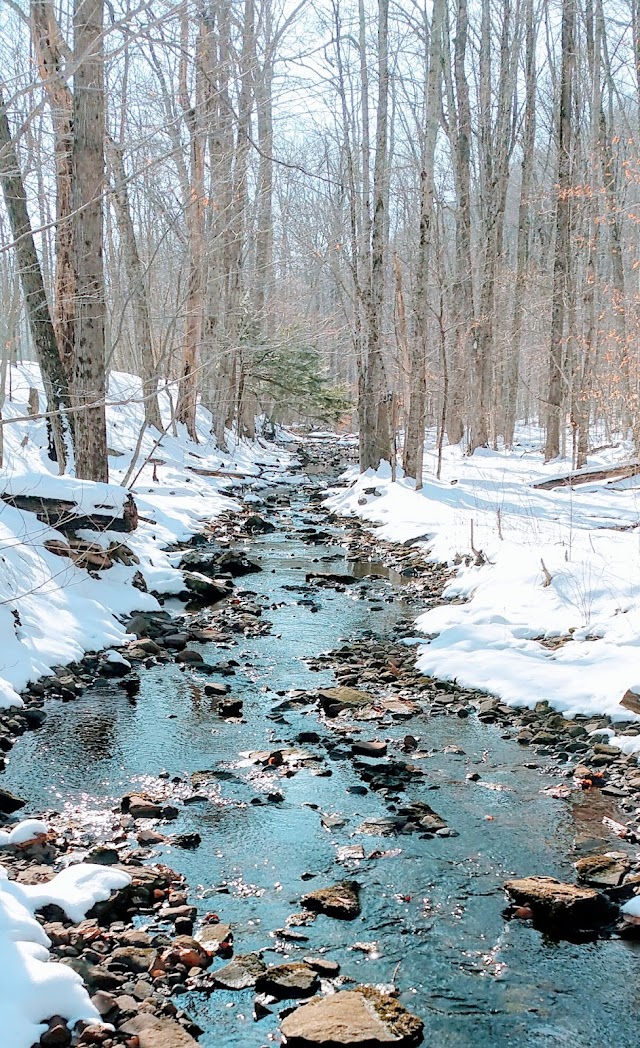 Devil's Tombstone Campground