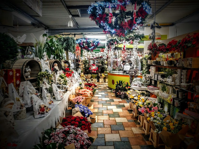 Jardinerie d’Ifs / Christelle Legonin - Caen