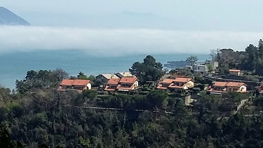 Litoranea - Visual