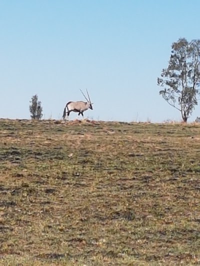 Photos of Pienaardam Leisure Resort