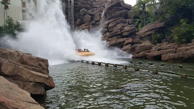 Photos of Universal Orlando Resort